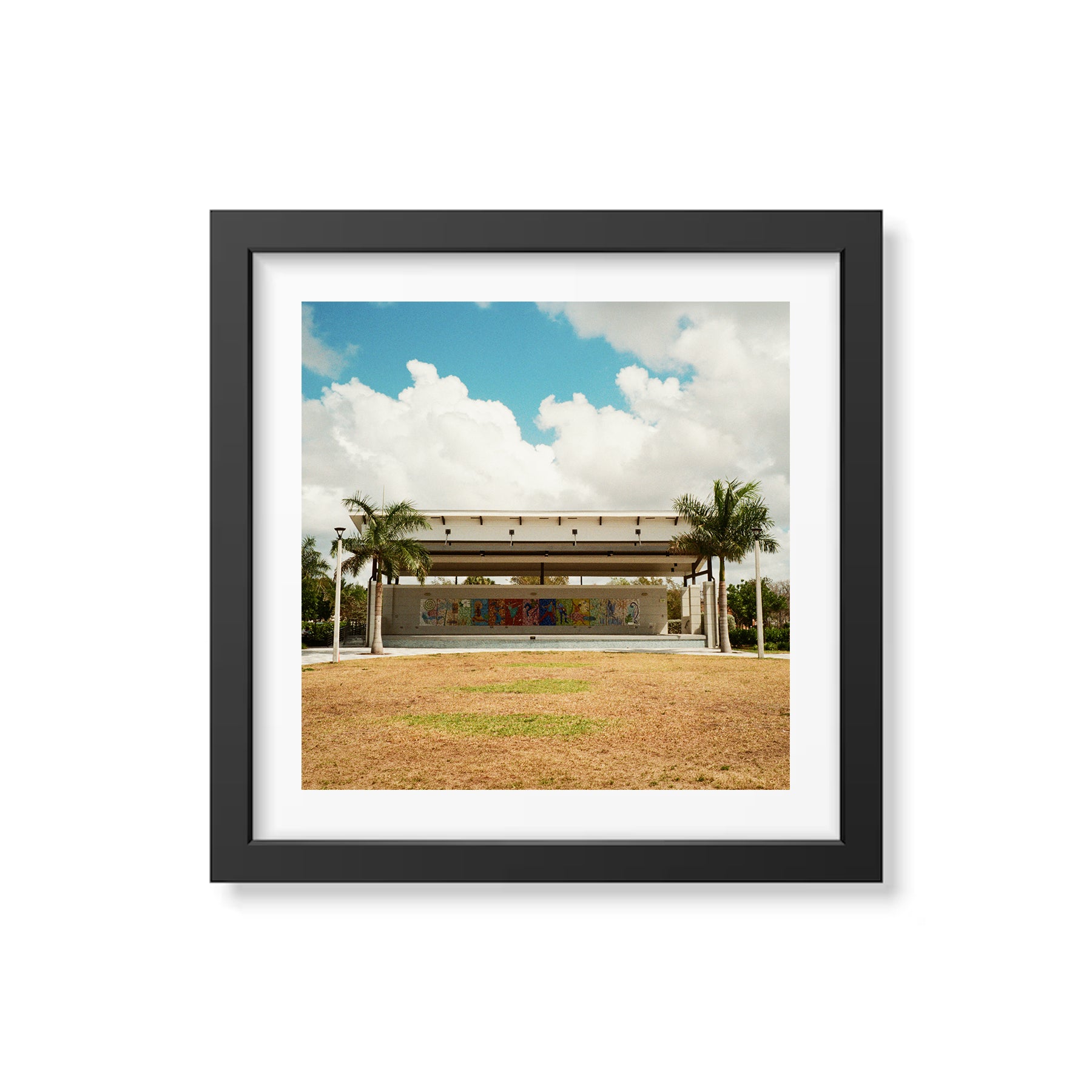 Summer In Broward Photograph Prints