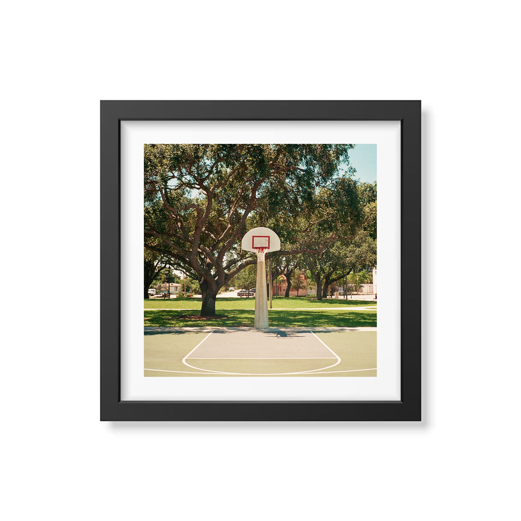 Summer In Broward Photograph Prints