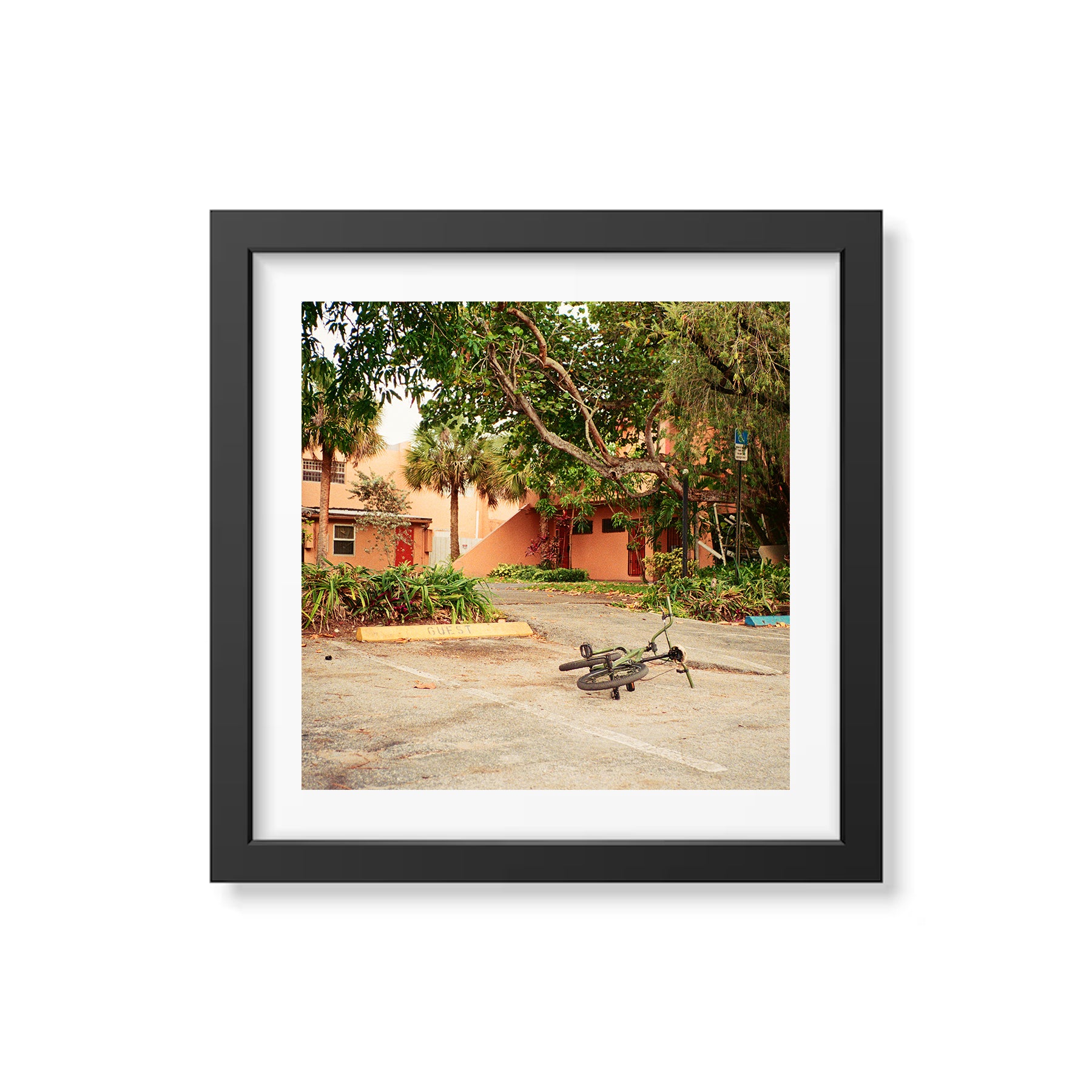 Summer In Broward Photograph Prints