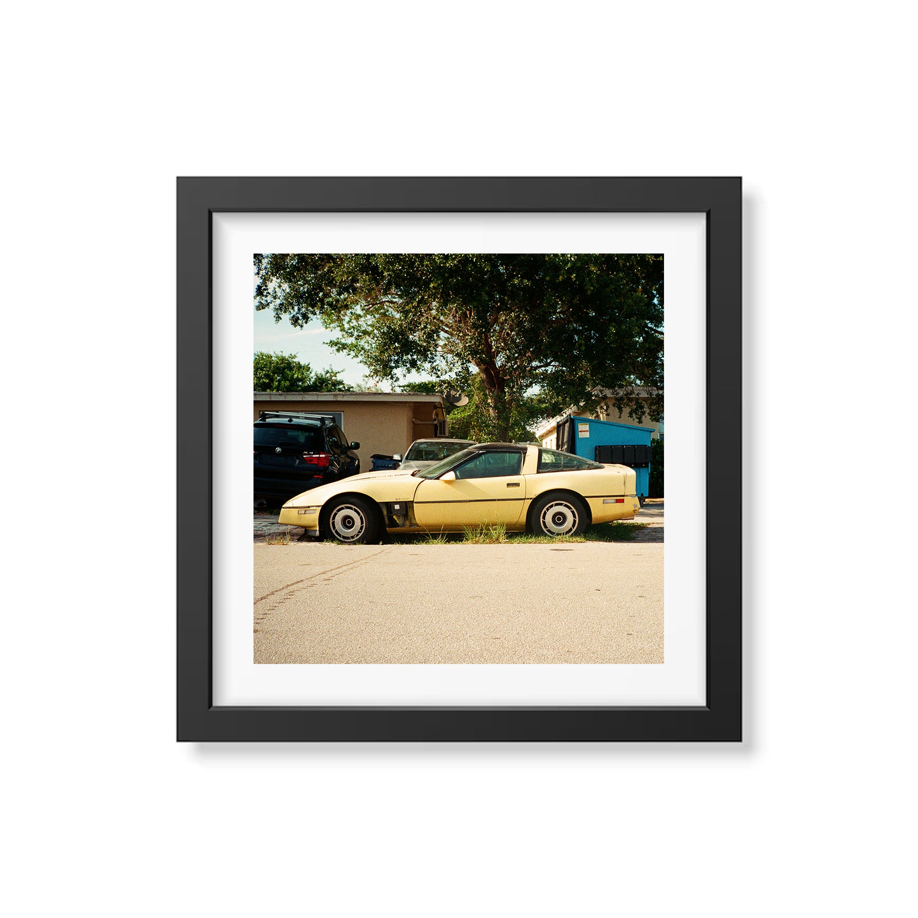 Summer In Broward Photograph Prints