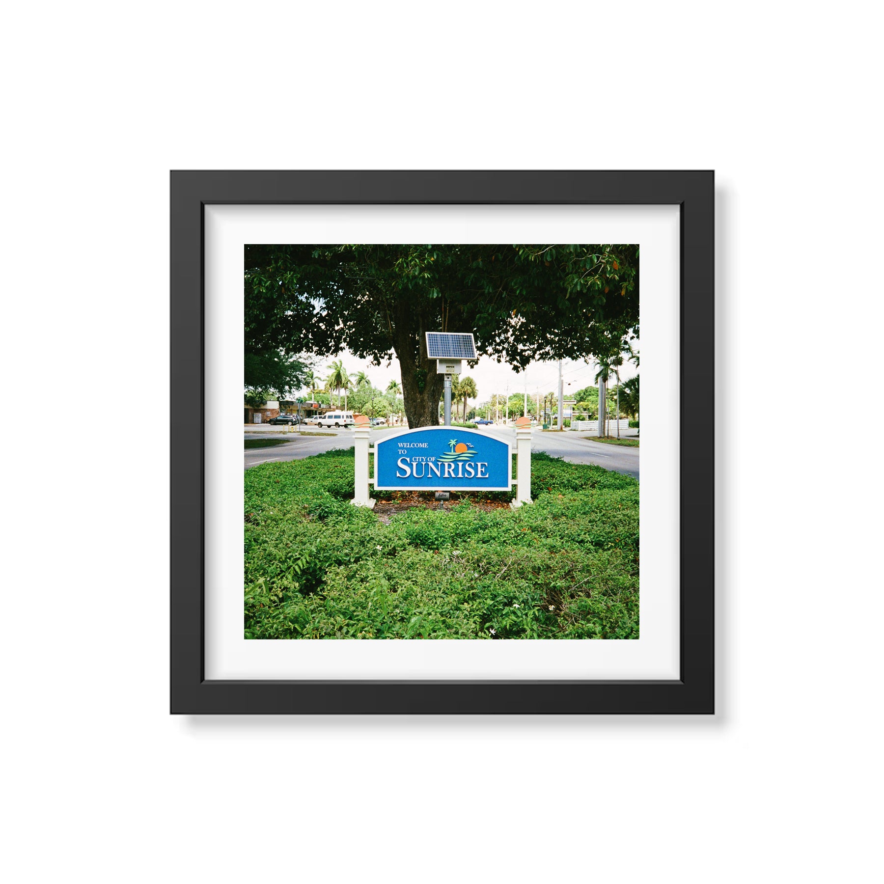 Summer In Broward Photograph Prints