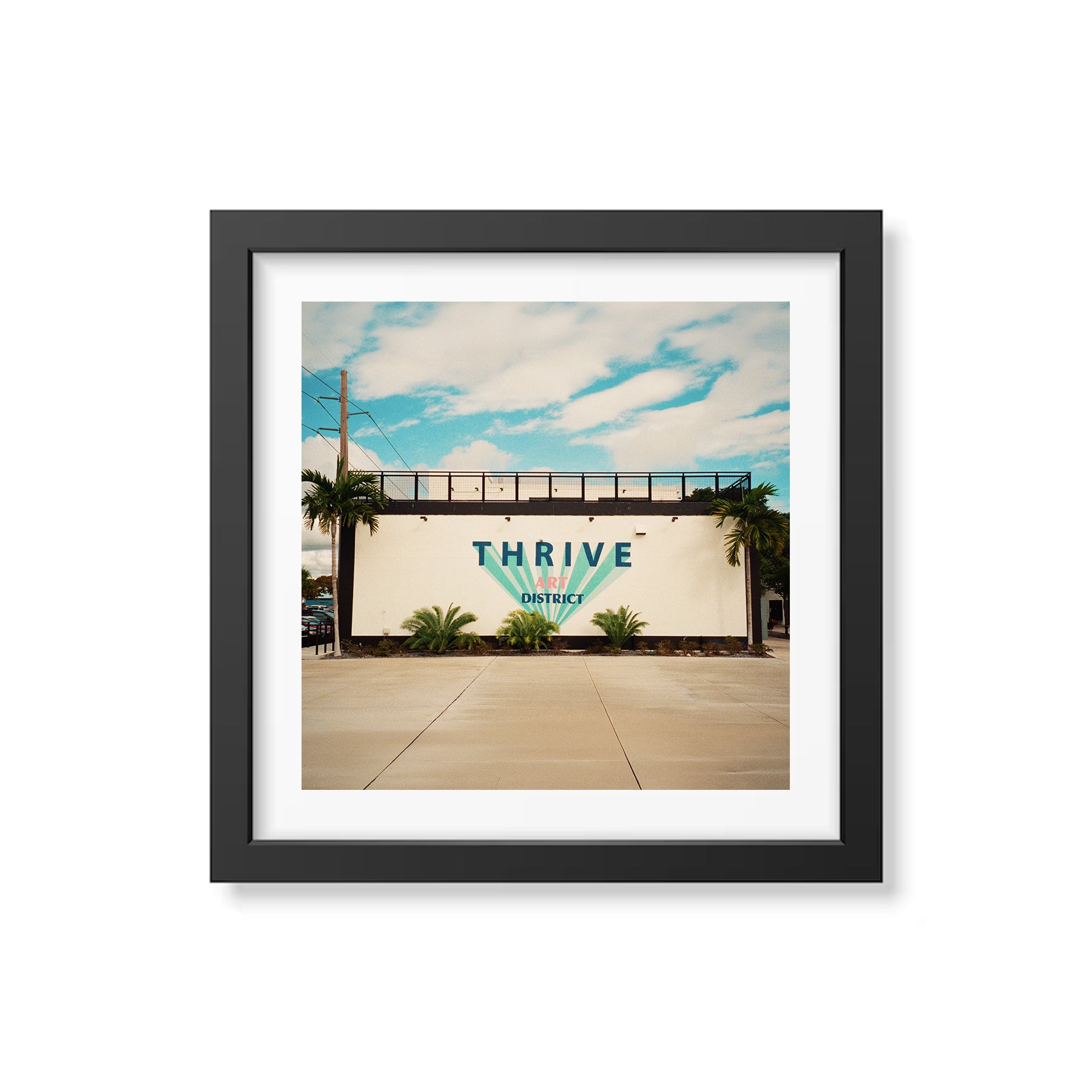 Summer In Broward Photograph Prints