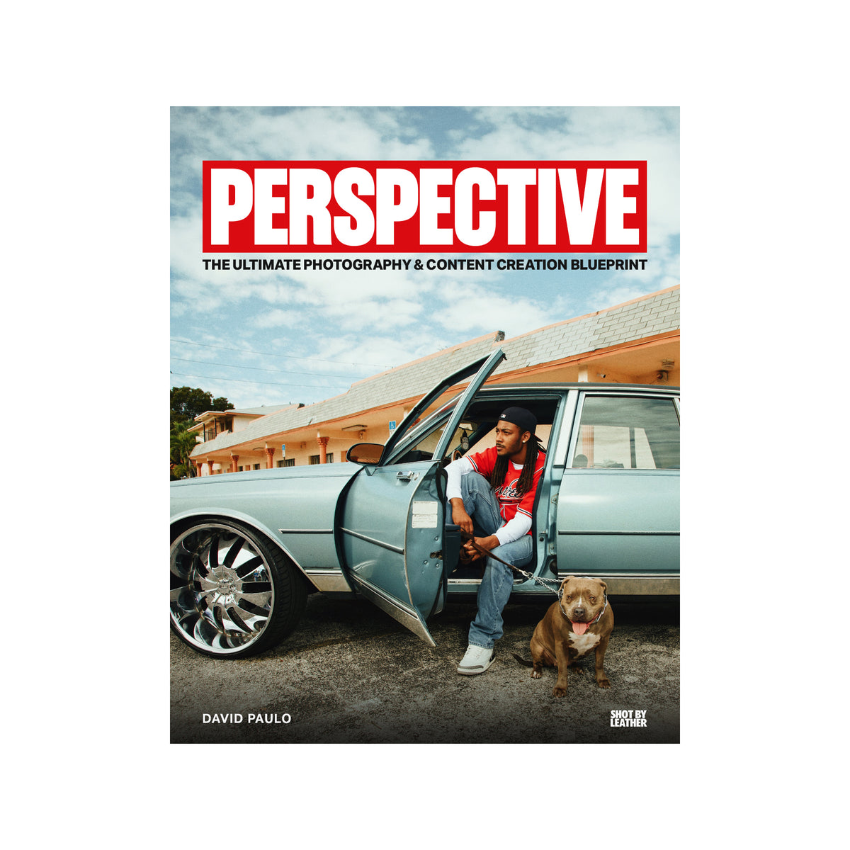 PERSPECTIVE eBook