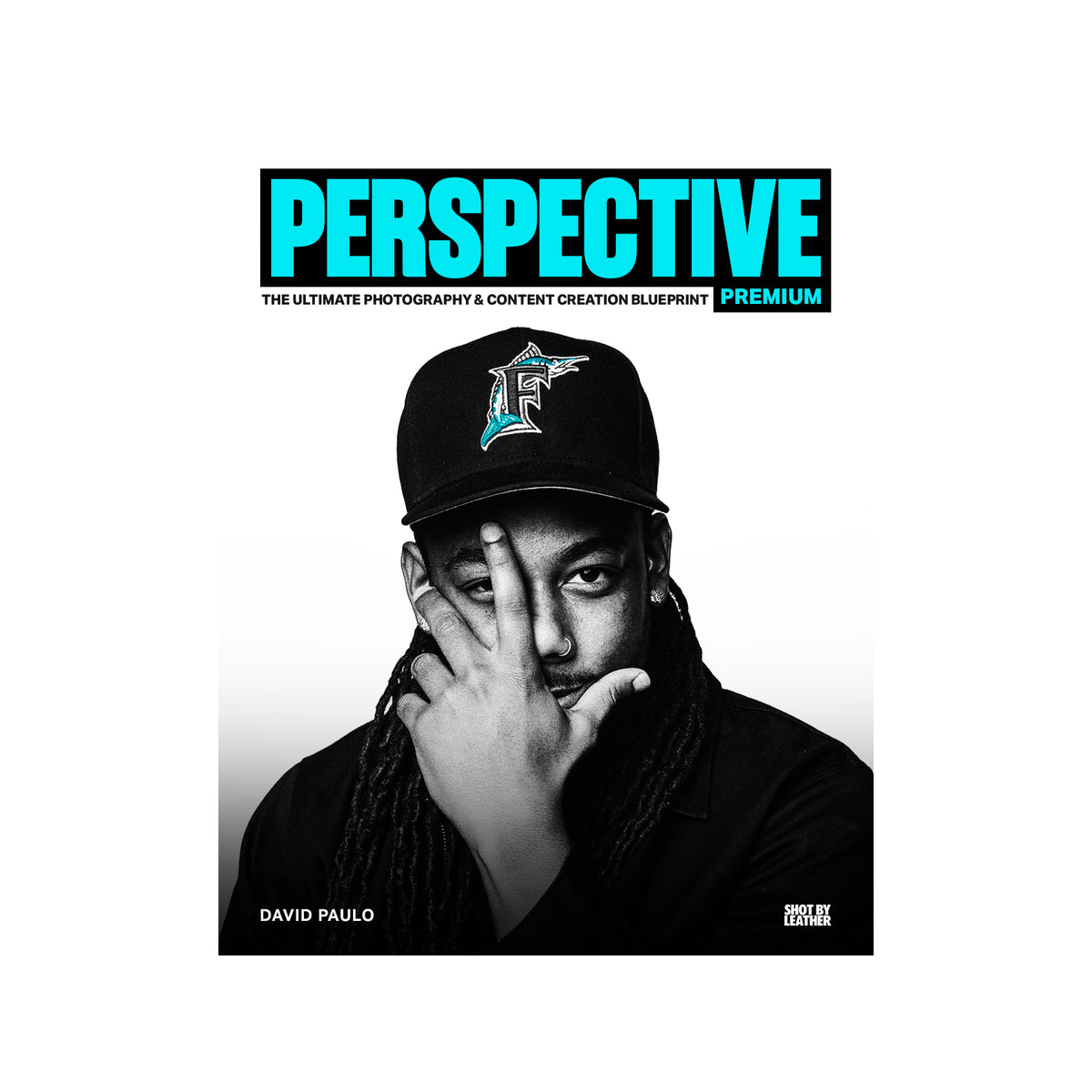PERSPECTIVE eBook